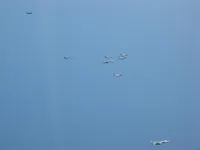 RIPPER 204 (163218, photo bird for previous shots), VFA-131 Wildcats Hornet AG-405 , VF-143 Pukin' Dogs Tomcat AG-103 (161421), 2x Rafale M, 2x Super Étendard Modernisé
